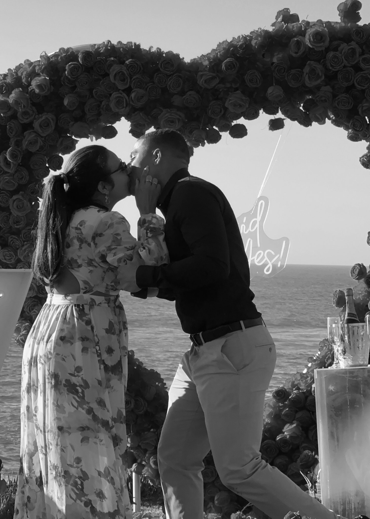 The proposal at La Jolla Cove